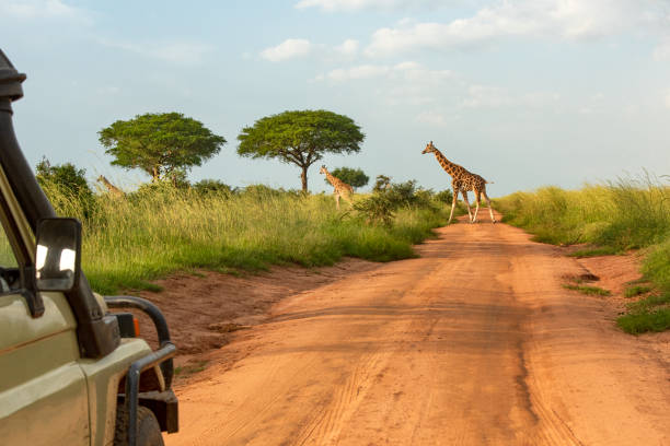  Responsible Tourism in Africa 2026–2027 